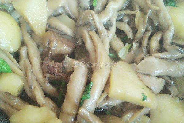 土豆炖蘑菇的做法图解9
