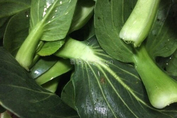 蒜蓉白菜（油淋白菜）的做法图解1