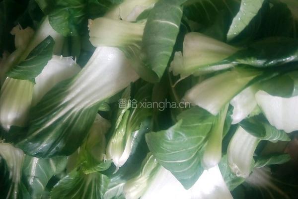 平菇油菜的做法图解1
