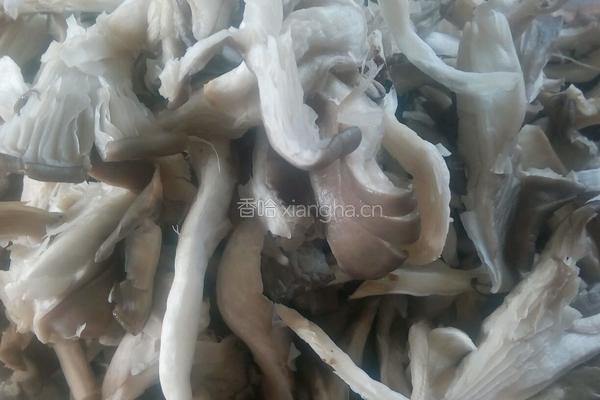 平菇油菜的做法图解2