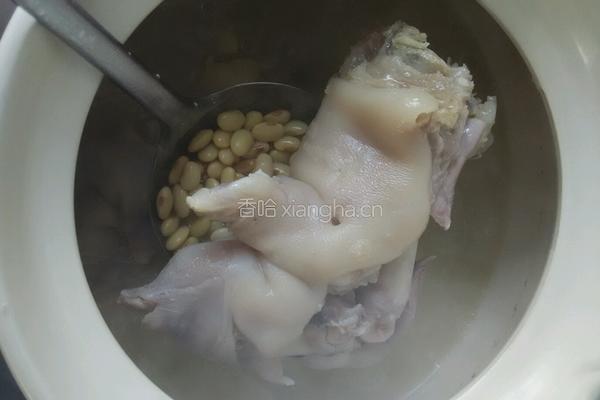黄豆猪蹄催乳汤的做法图解4