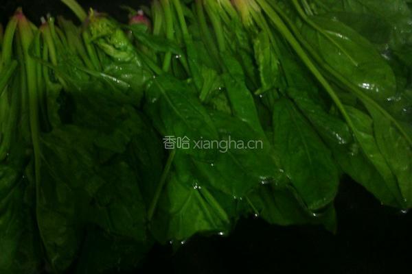 凉拌菠菜的做法图解2