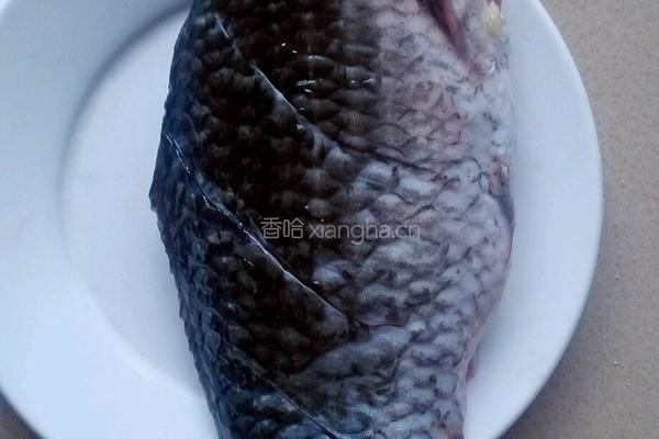 鲫鱼豆腐汤的做法图解1
