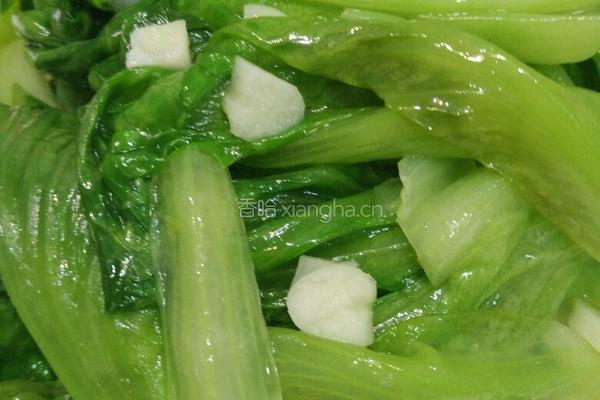 素炒生菜的做法图解6