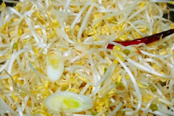 醋呛绿豆芽的做法图解4
