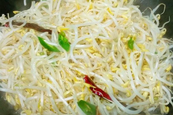醋呛绿豆芽的做法图解6