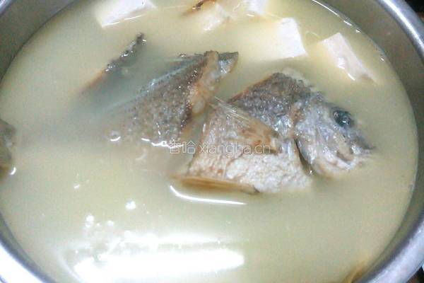 黄翅鱼豆腐汤的做法图解6