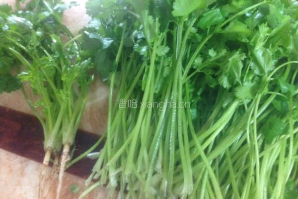 香菜饺子的做法图解1