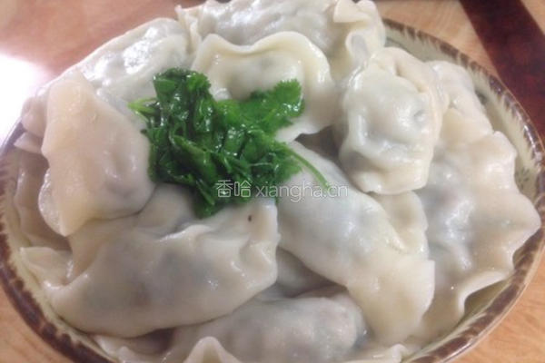香菜饺子的做法图解14