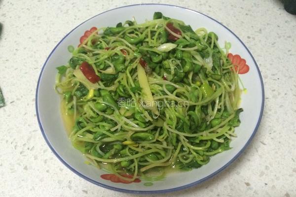 炒绿豆芽的做法图解5