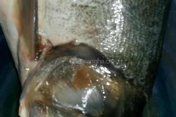 红烧鱼头的做法图解2