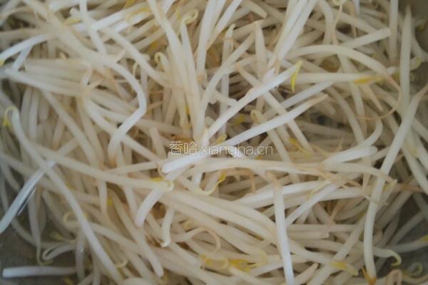 凉拌豆芽的做法图解2