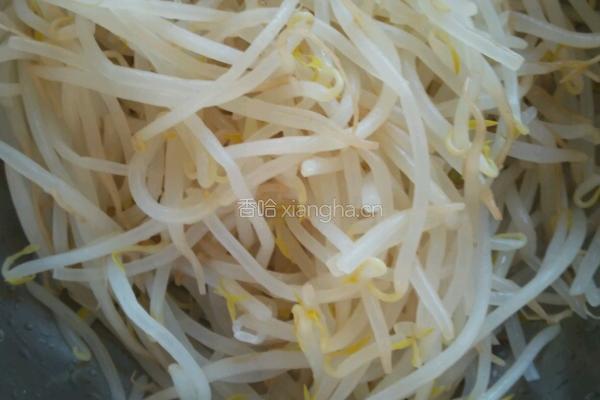 凉拌豆芽的做法图解3