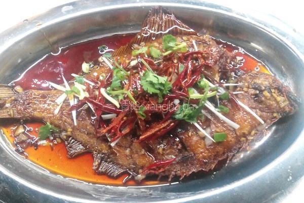 香煎偏口鱼的做法图解6
