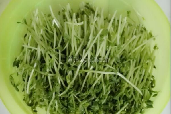 上汤豌豆苗的做法图解1