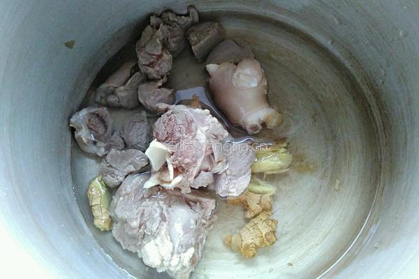 萝卜炖羊腿的做法图解5