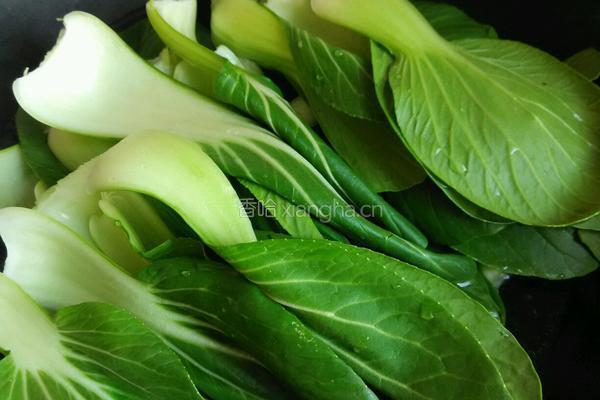 虾仁油菜拌粉丝的做法图解4