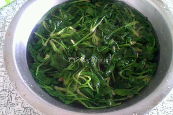 芥末菠菜的做法图解3