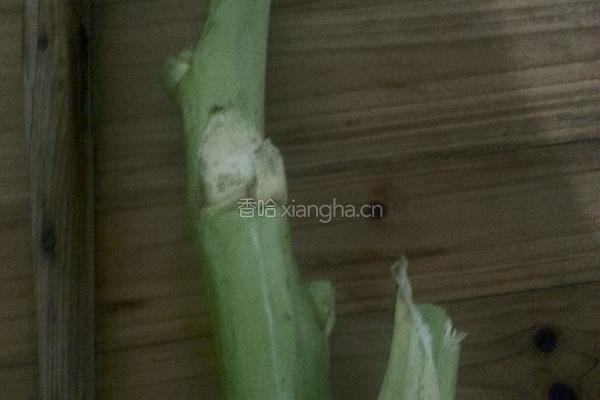 菜头炒蒜苗的做法图解1