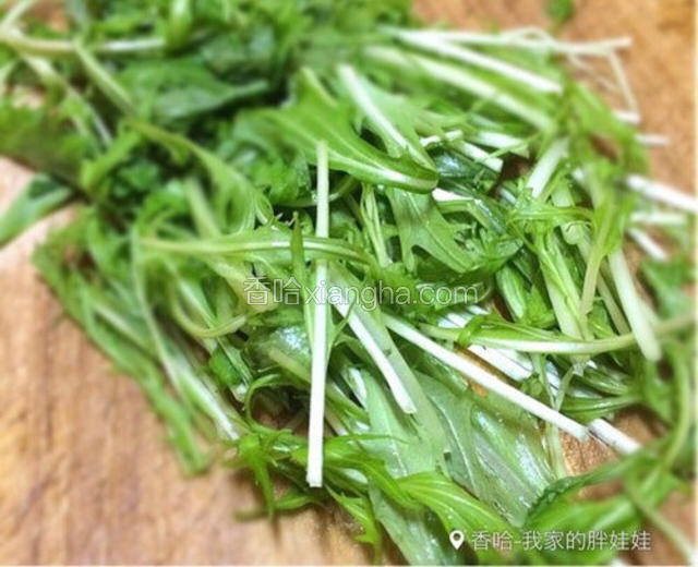 最后加入水菜