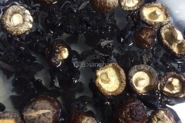 鱼香肉丝的做法图解2
