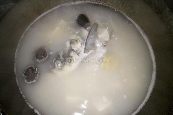 鱼头豆腐汤的做法图解6