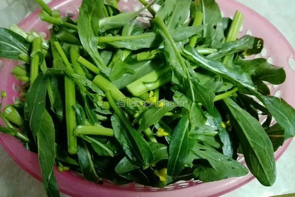 盐水菜心的做法图解1