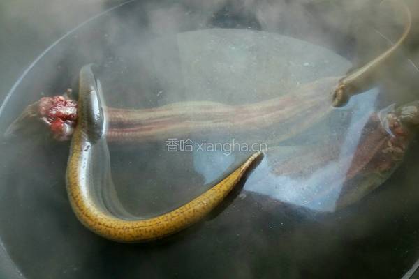 水煮鳝片的做法图解1
