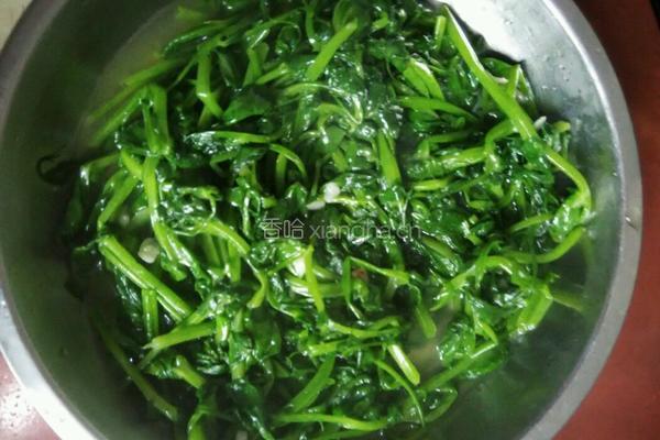 清炒豆苗的做法图解3