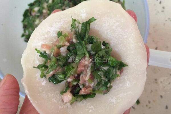 金汤香菜饺的做法图解7