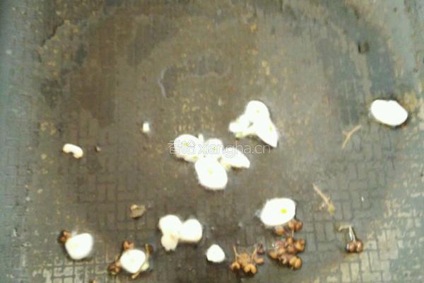  素炒豆芽的做法图解3