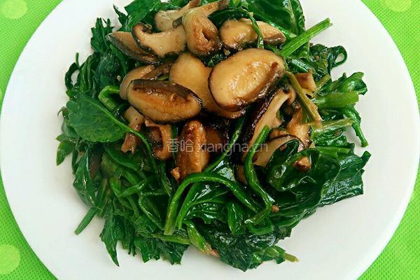 香菇炒菠菜的做法图解7
