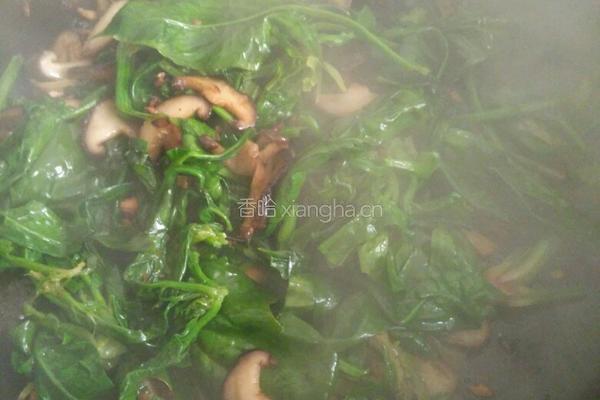 香菇炒菠菜的做法图解6