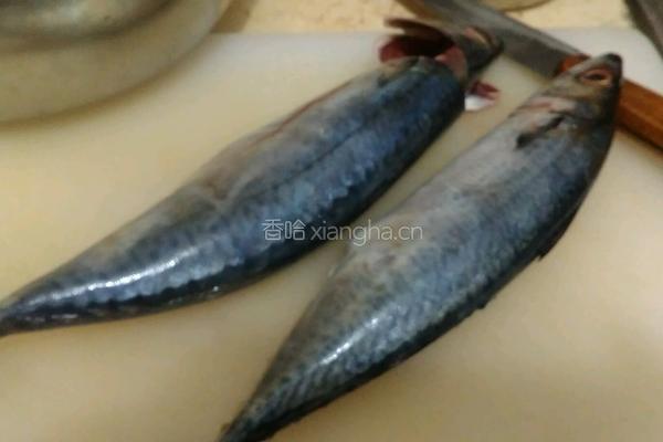 鲅鱼馅饺子的做法图解1