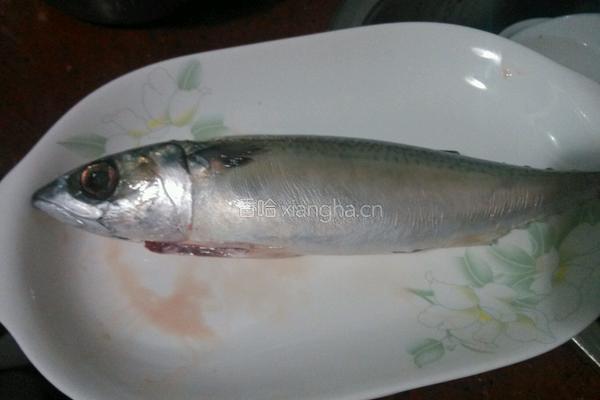 香煎秋刀鱼的做法图解1