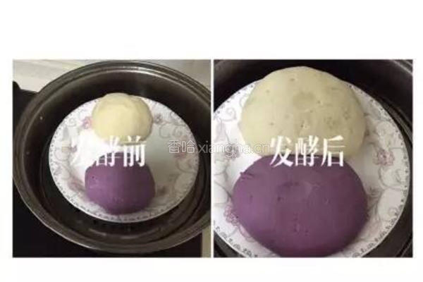 花开紫薯馒头的做法图解3