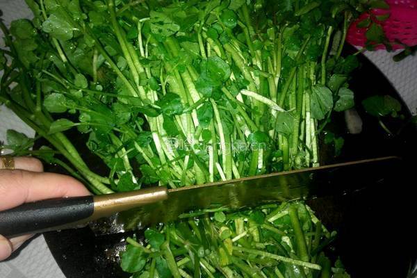 爆炒西洋菜的做法图解1
