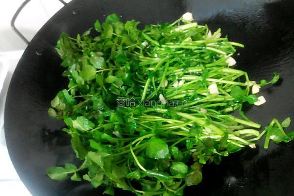 爆炒西洋菜的做法图解4
