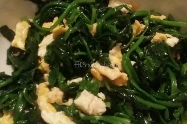 凉拌菠菜