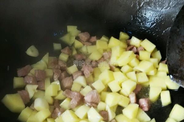 宝宝菜土豆炖肉的做法图解4