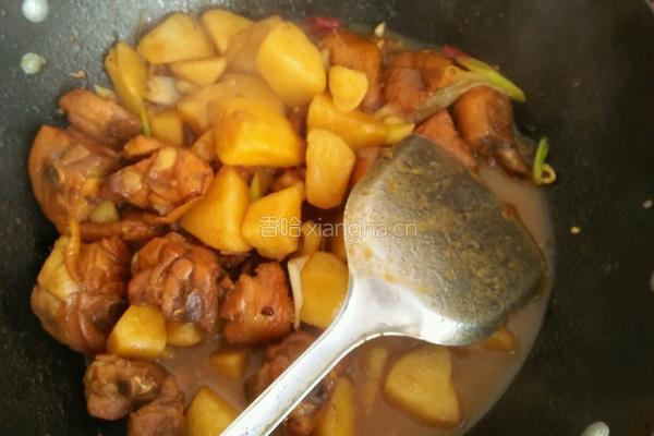 土豆炖鸡腿的做法图解7
