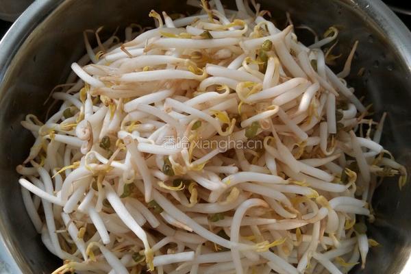 豆芽炒肉的做法图解1