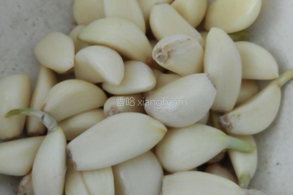 子蒜酸菜烧肥肠的做法图解10