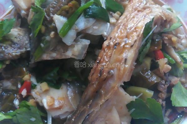 酸辣草鱼块的做法图解5