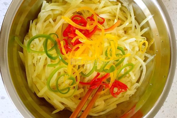 花椒油凉拌土豆丝的做法图解8