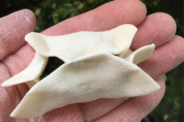 饺子的做法图解11