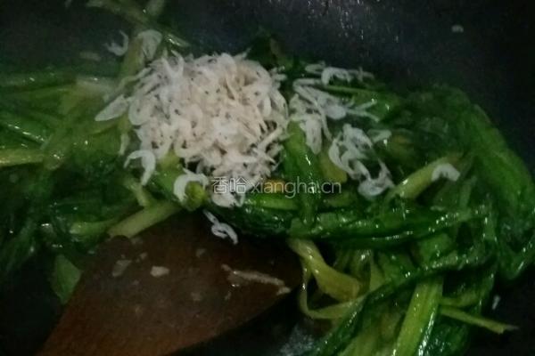 虾仁油麦菜的做法图解4