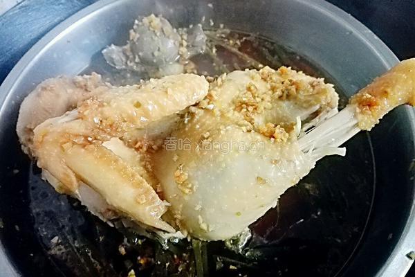姜葱鸡的做法图解8