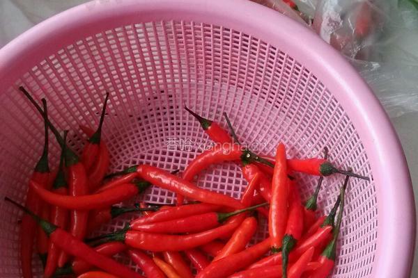 鲜辣椒肉酱的做法图解1