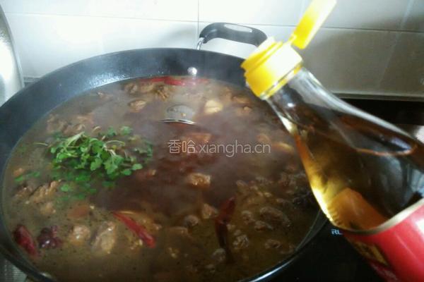  红烧牛肉的做法图解7